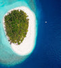 Beauty Of Solomon Island And Love