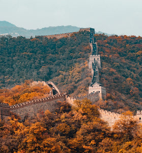 Forest Adventure China